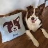 Prima Dog & Name - Personalised Cushion Cover -Entertainment Toy Store Personalised Dog Cushion