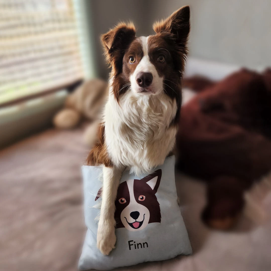 Prima Dog & Name - Personalised Cushion Cover 5 Prima Dog & Name - Personalised Cushion Cover - Image 3