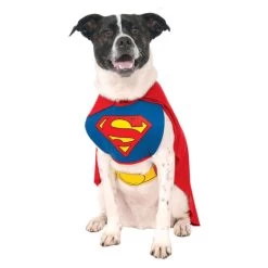 DC Comics Superman Classic Pet Costume