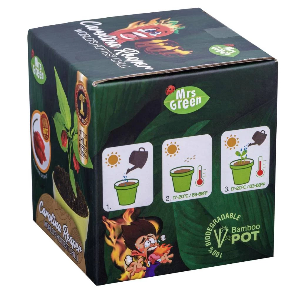 Carolina Reaper World's Hottest Chilli All-In-One Grow Kit 6 Carolina Reaper World's Hottest Chilli All-In-One Grow Kit - Image 4