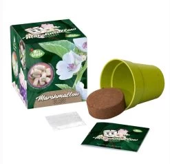 Marshmallow Plant Growing Kit