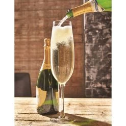 Oversized Champagne Glass - Holds An Entire Bottle!