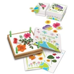 Pressed Flower Art Kit