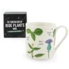 Ridiculously Rude Plants Mug -Entertainment Toy Store Yellow Octopus Ridiculously Rude Plants Mug