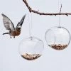 Set Of 2 Eva Solo Glass Bird Feeders -Entertainment Toy Store eva solo set of 2 eva solo glass bird feeders yellow octopus 30801151754