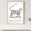 Personalised Vintage Cat Poster | Choose From 30 Breeds! -Entertainment Toy Store poster thumbnails vintage cat
