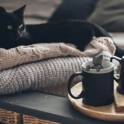 Purr Tea Cat Tea Infuser | Fred & Friends -Entertainment Toy Store sdvADFb 2b4f9917 e25a 4beb 97d3 e86504aa5b81