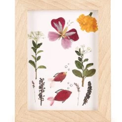 Make Your Own Flower Press Frame Kit -Entertainment Toy Store yellow octopus Flower Press Frame 2