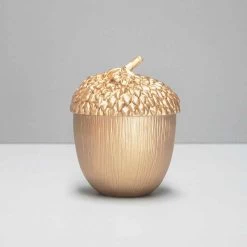 Gold Acorn Secret Trinket Box | White Moose