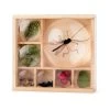 Great Outdoors Bug Box Magnifying Display -Entertainment Toy Store yellow octopus great outdoors bug box magnifying display 2