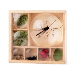 Great Outdoors Bug Box Magnifying Display