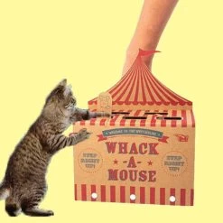 Make Your Own Whack-a-Mouse Cat Toy