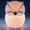 Owl Touch-Sensitive Rechargeable LED Night Light -Entertainment Toy Store yellow octopus owl soft silicone night light 4