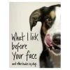 What I Lick Before Your Face & Other Dog Haikus Book